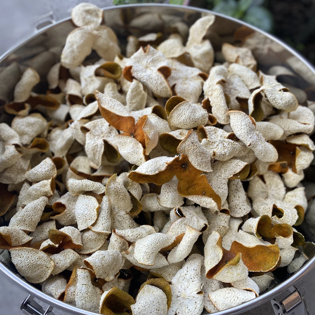 888号2024年东甲牛角围老树圈枝大红皮