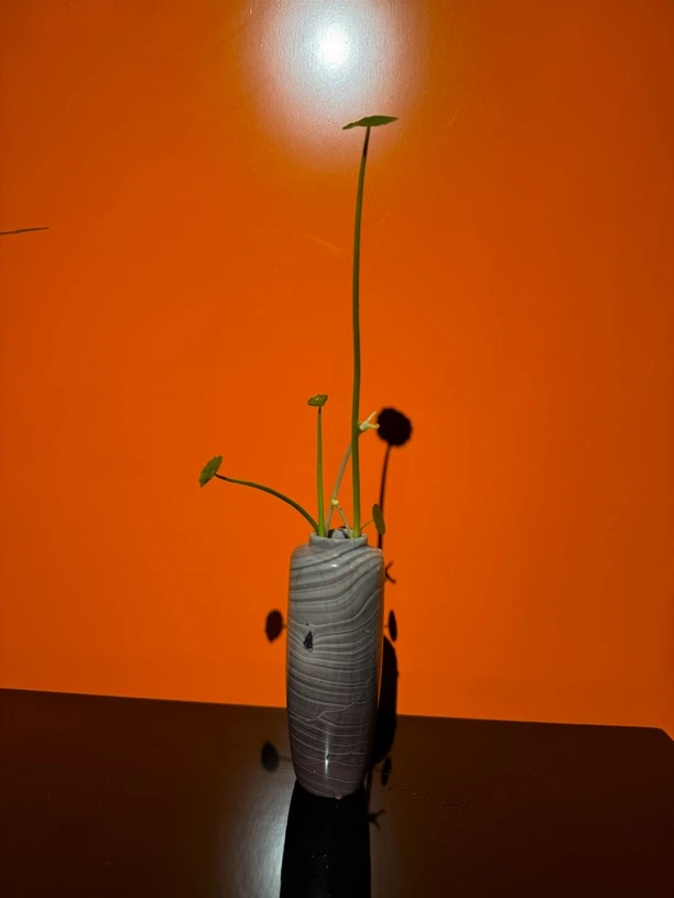 寿山石奇纹花瓶摆件