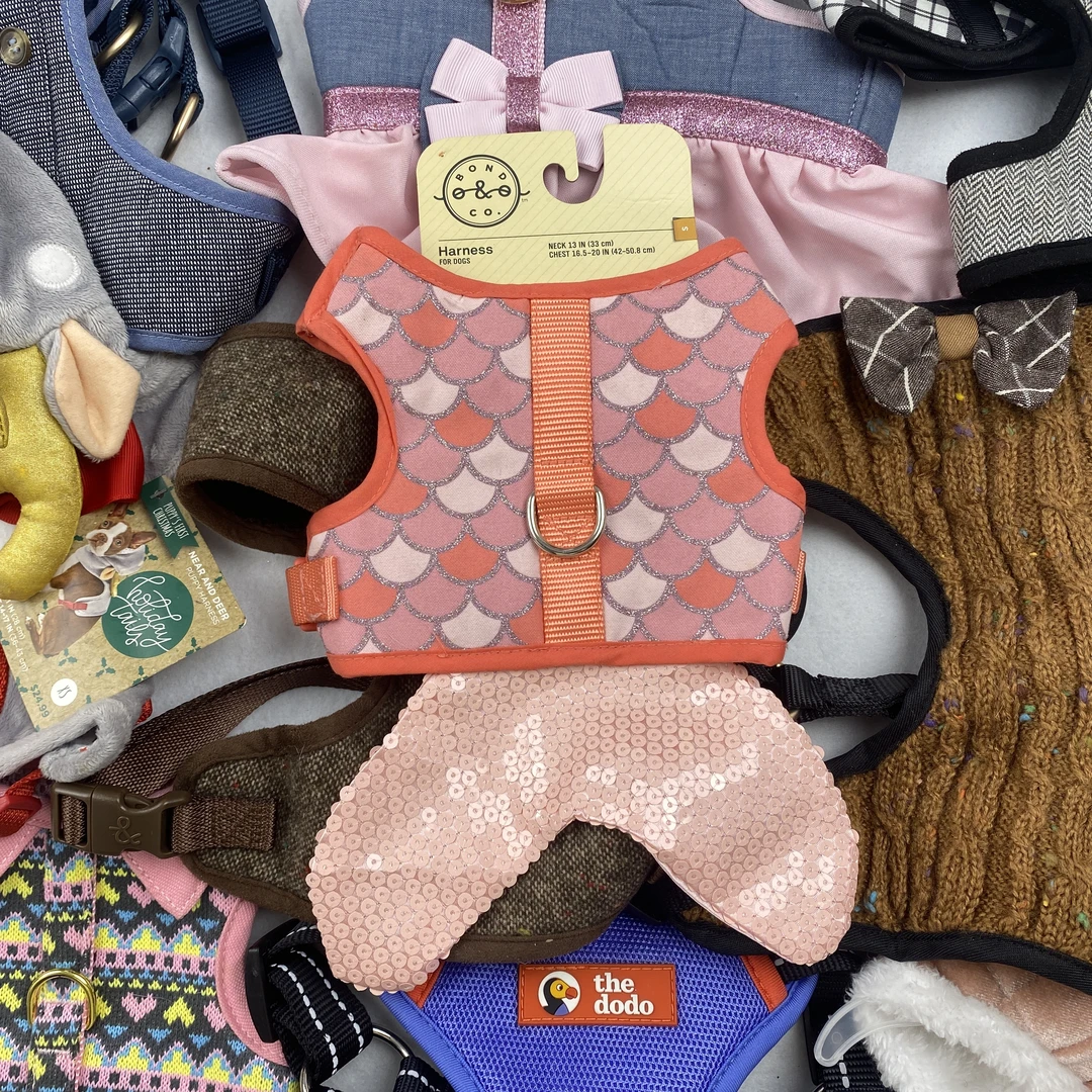 （宠物胸背过款）宠物胸背狗狗猫猫舒适耐用高端尾货拍NO退NO换