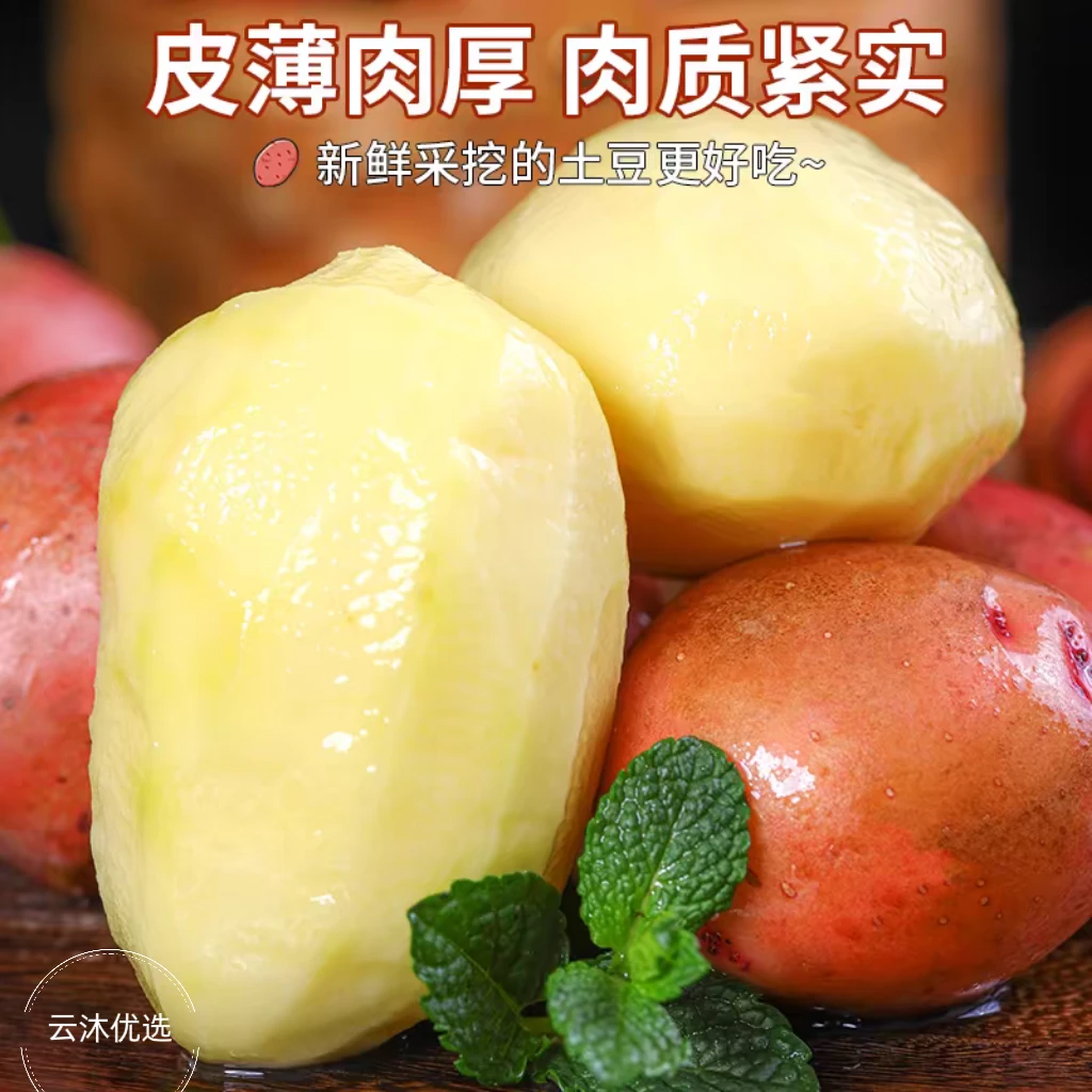 云南红皮黄心土豆新鲜现挖批发洋芋恩施土豆威宁团购黄心小土豆