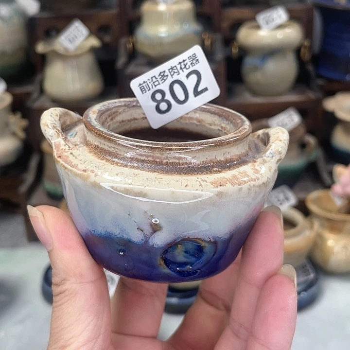 红陶20CM（含）-50CM（不含）口5