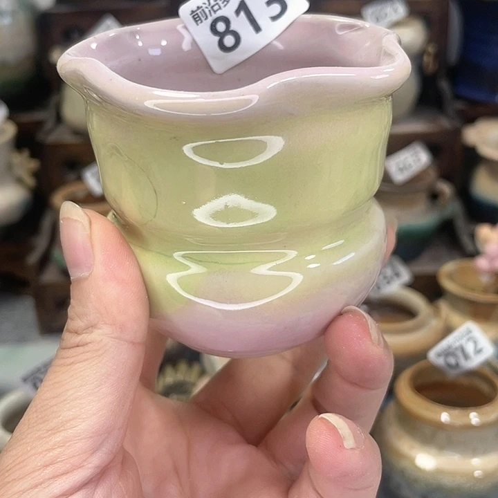 红陶20CM（含）-50CM（不含）口6.5