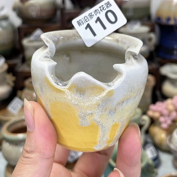 红陶20CM（含）-50CM（不含）口5