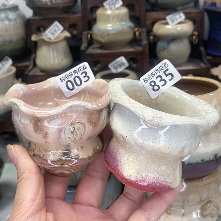 红陶20CM（含）-50CM（不含）梅*。