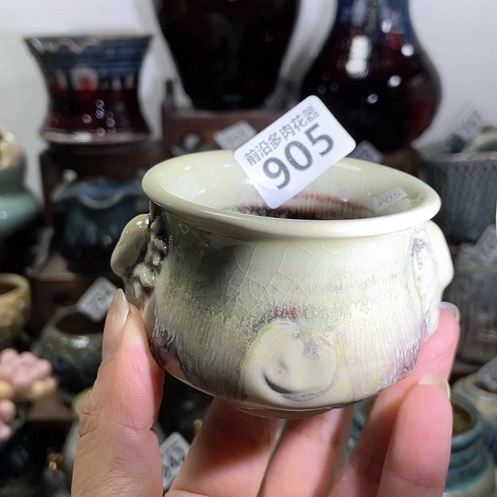 红陶20CM以下口5