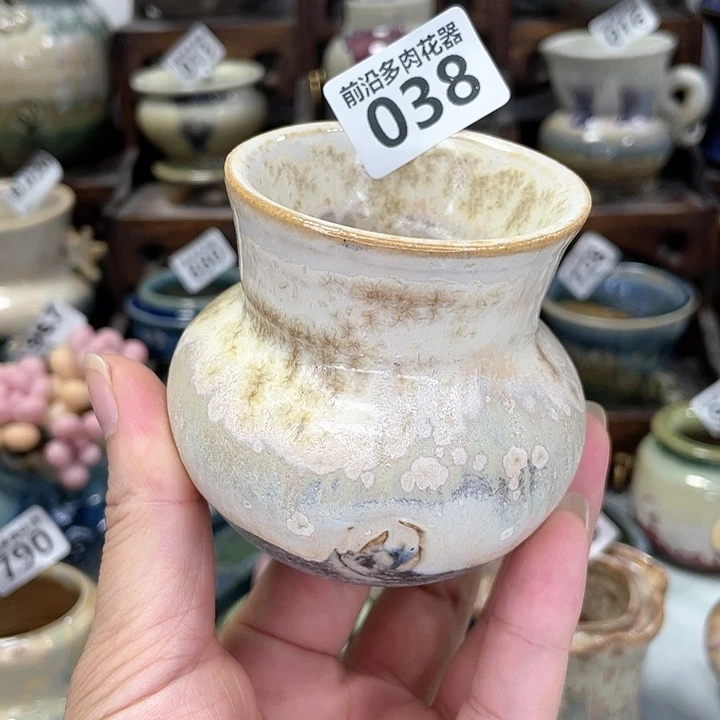 红陶20CM(含)-50CM(不含)口5