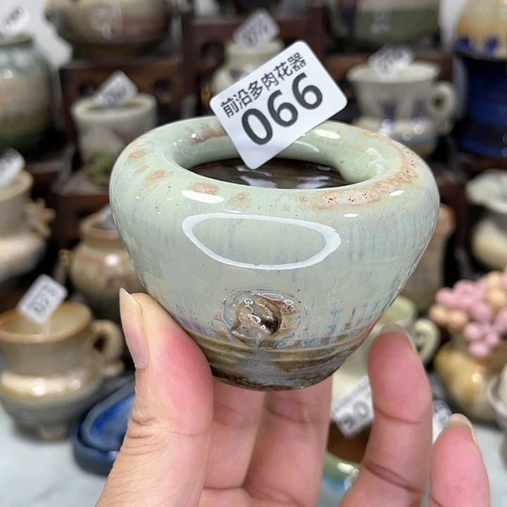红陶20CM(含)-50CM(不含)口4.5