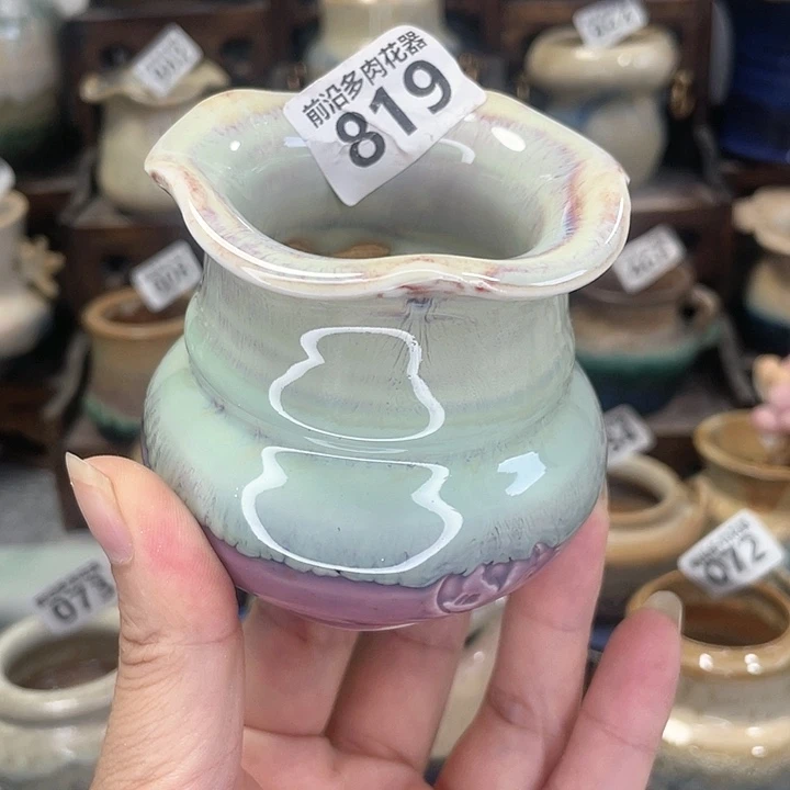 红陶20CM（含）-50CM（不含）口5