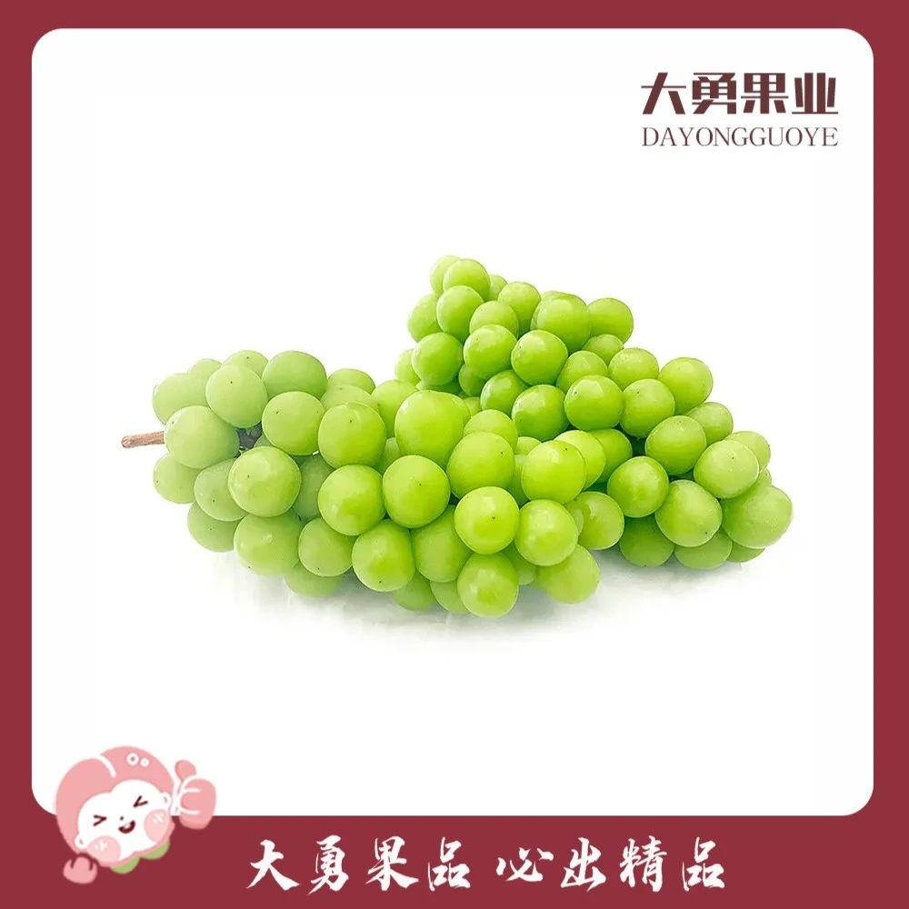 【特惠】阳光玫瑰葡萄 约1.5-1.8斤(清甜多汁,老树结果微软,介意勿拍)