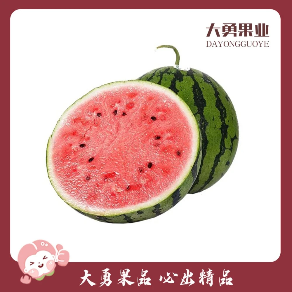 【半个】黑籽麒麟西瓜 约3.5-4斤(甘肃黑籽西瓜)