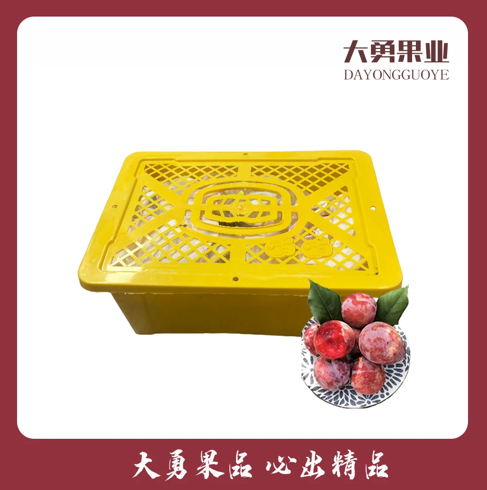 新疆红李子(恐龙蛋)   毛约3.6斤/1箱
