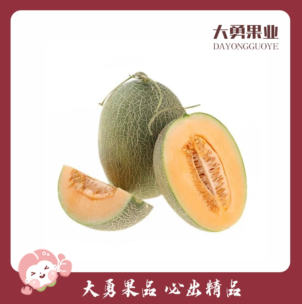 【1个】希牛哈密瓜 约3.5-4斤
