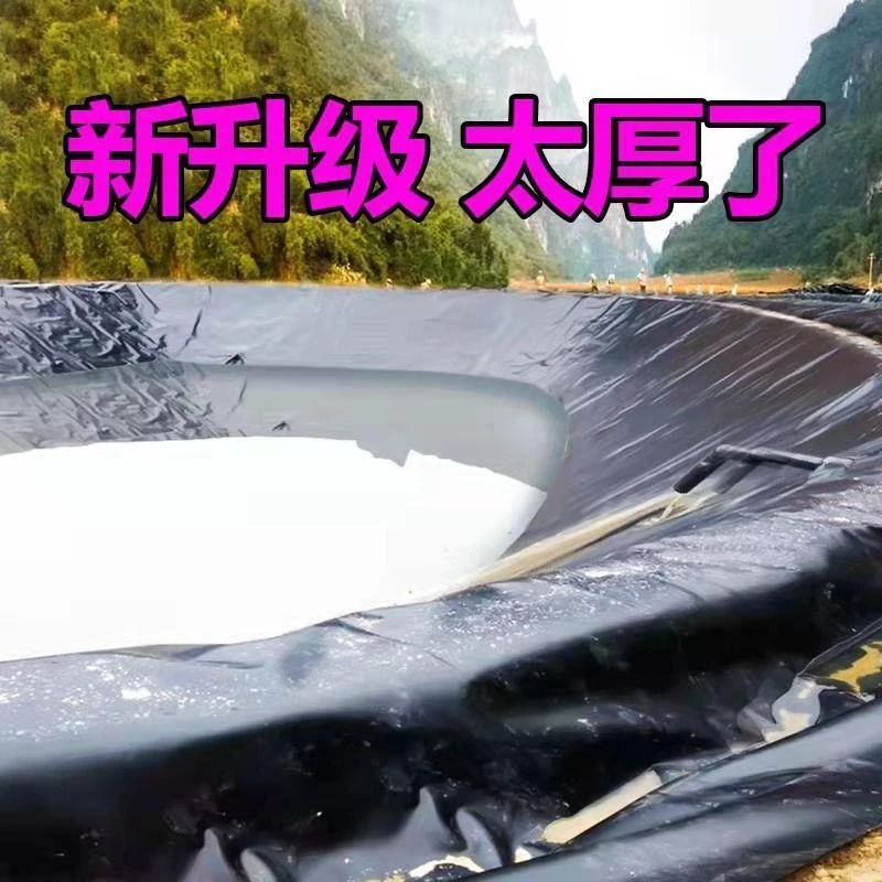 防渗水黑色塑料布鱼池防水布隔热网品牌套袋防虫防鸟地膜拱棚支架