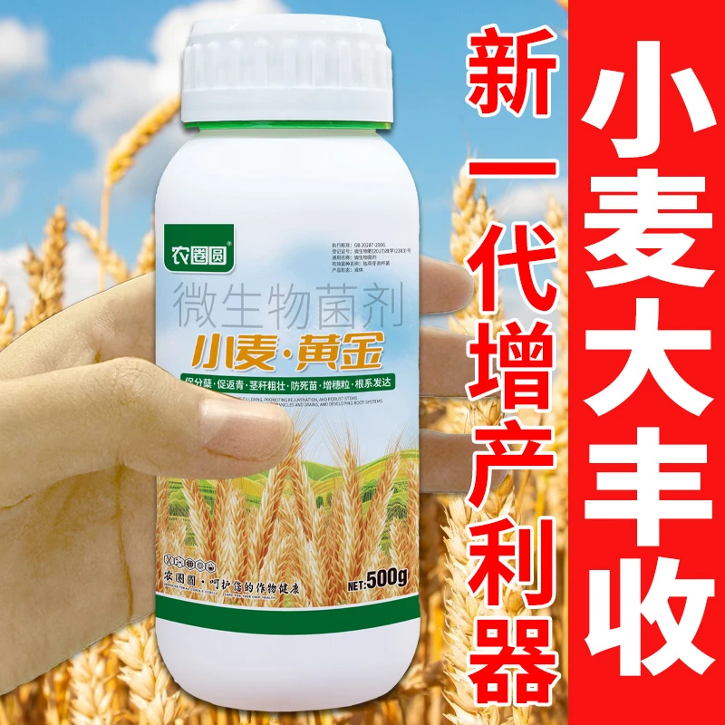 农圈圆小麦黄金专用肥控旺高产分蘖抗倒伏籽粒饱满增产叶面水溶肥