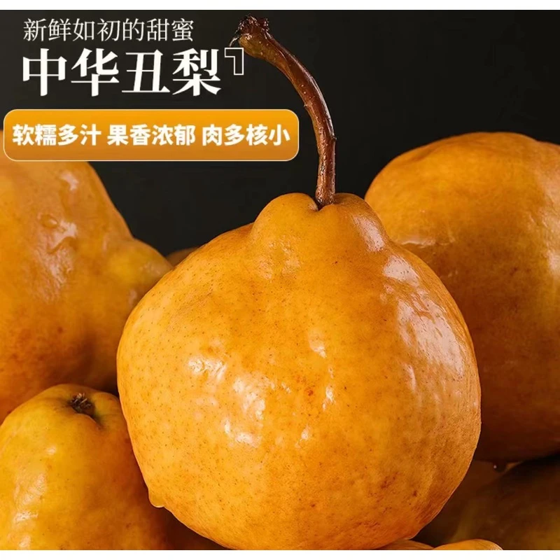 《农人老三》丑梨软糯香甜一箱2.8斤左右 顺丰包邮