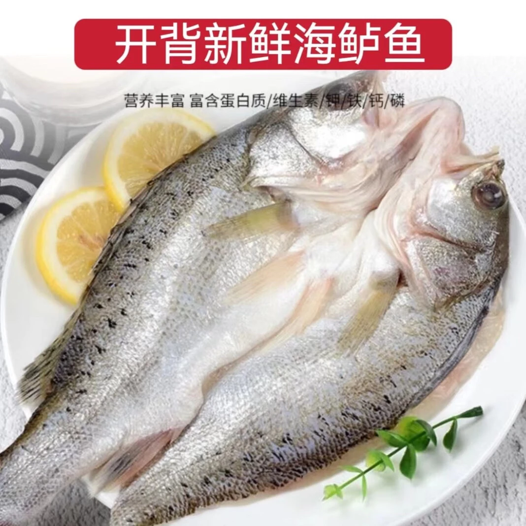 开背海鲈鱼活鱼现杀速冻缩鲜500g-600g*4条免杀免处理