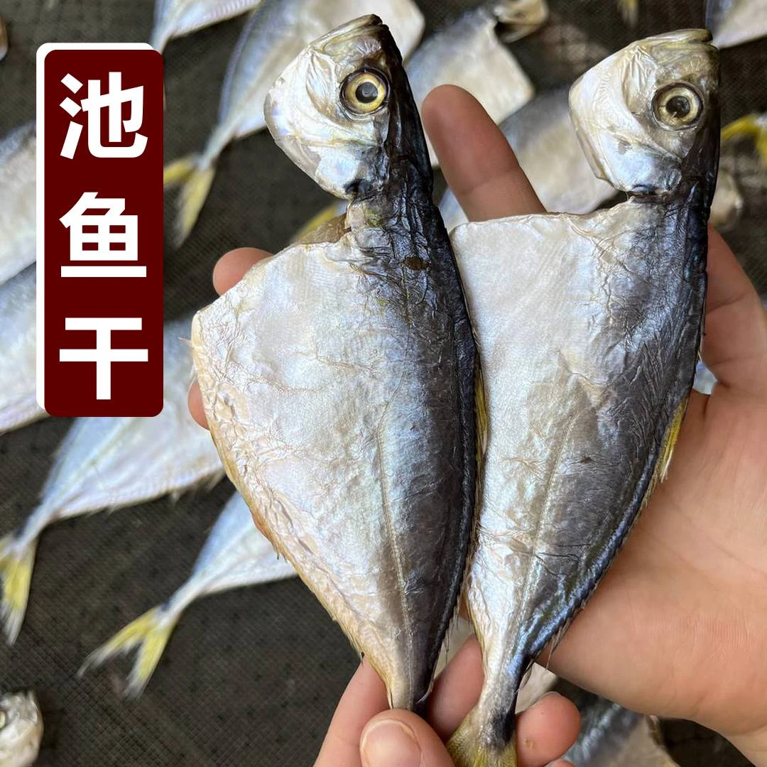虾池鱼干 淡晒六七成干一夜埕鱼干500克海产干货 广东阳江