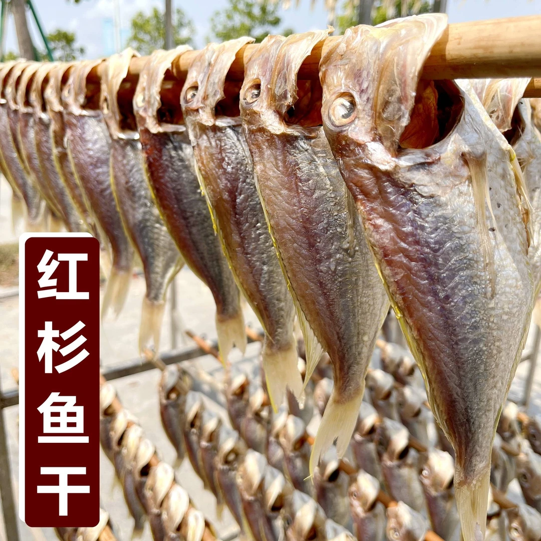 红杉鱼干 阳江一夜埕淡晒鱼干肉质嫩滑500克海鲜干货广东阳江