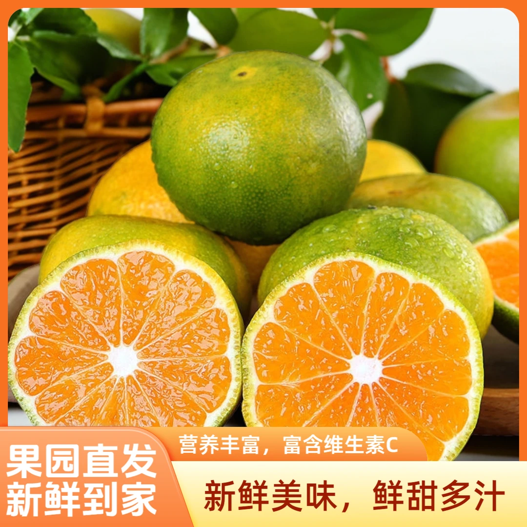 云南青皮蜜桔原产地现摘现发口感酸甜多汁甄选好果新鲜成熟采摘