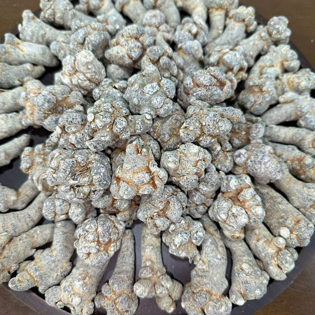 【山货】正宗  三七田七 精品30头
