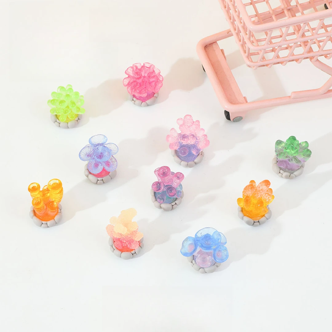 （主播代拆）许愿+对对碰自然造景夜光海洋造型盆栽 DIY立体植物