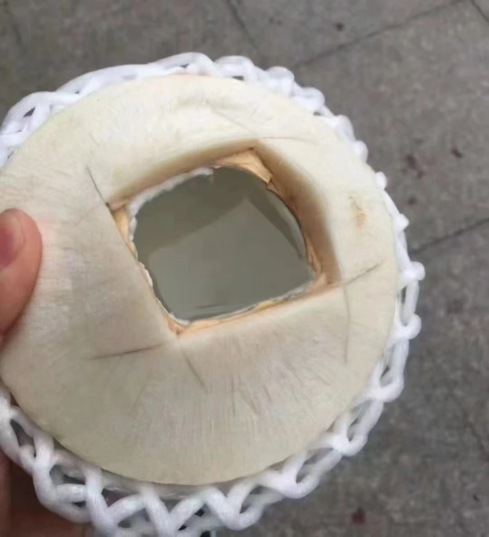 椰青2个（默认开孔）