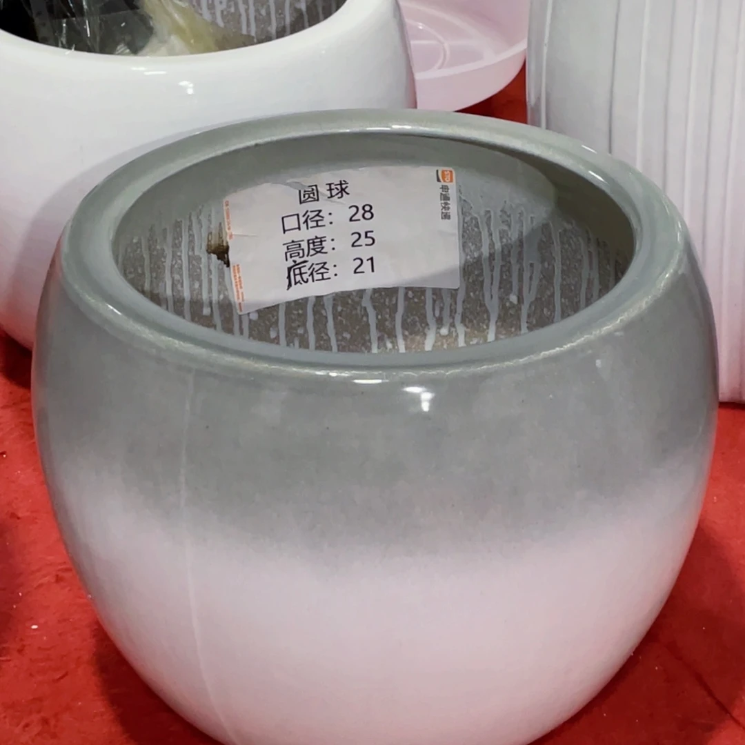 红陶20CM（含）-50CM（不含）