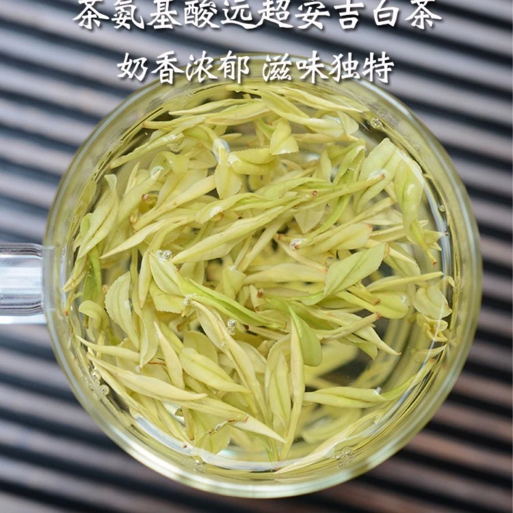 【龙黄黄金芽】2024新茶 安吉明前黄金芽 板栗香 春茶 绿茶