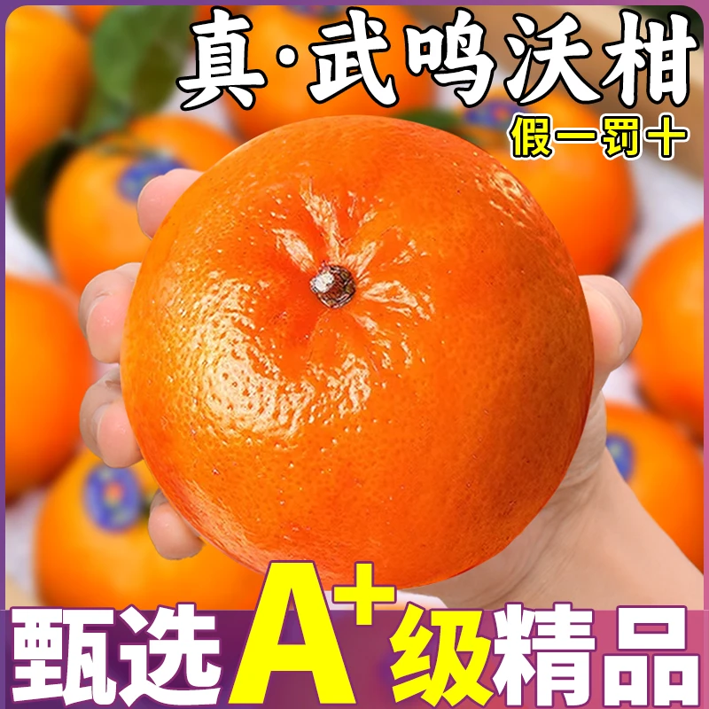 正宗2斤广西沃柑新鲜水果产地直发应季柑橘桔子孕妇整箱包邮