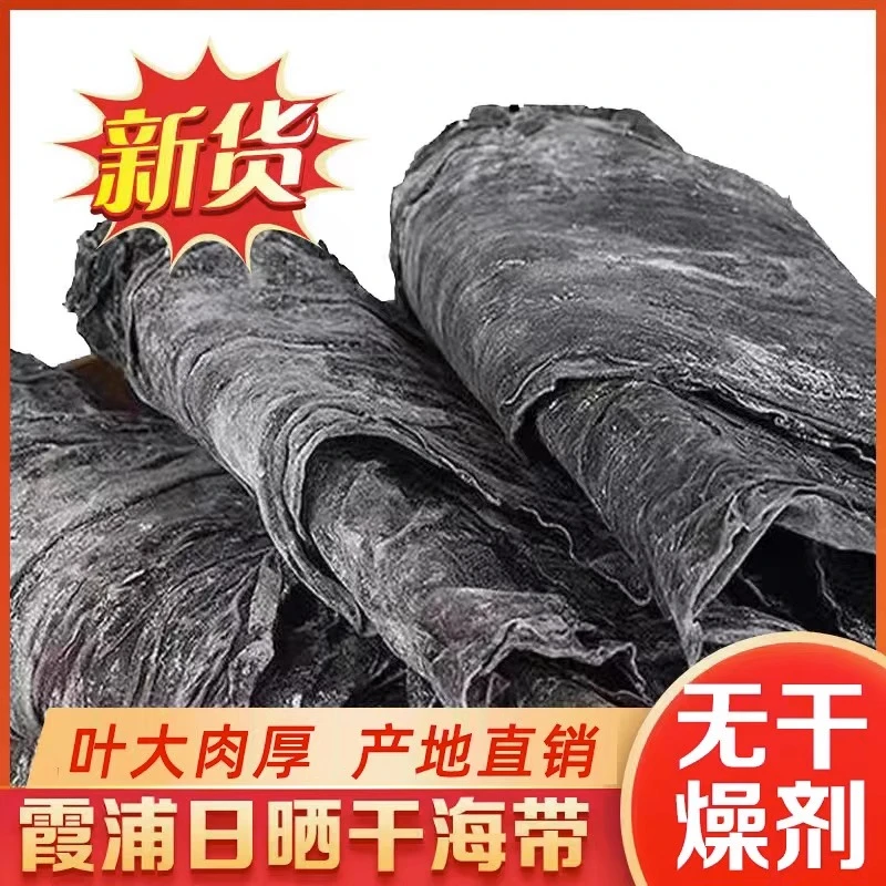 无污染2023新品霞浦鲜嫩海带干货福建霞浦新海带包装干净无沙500g