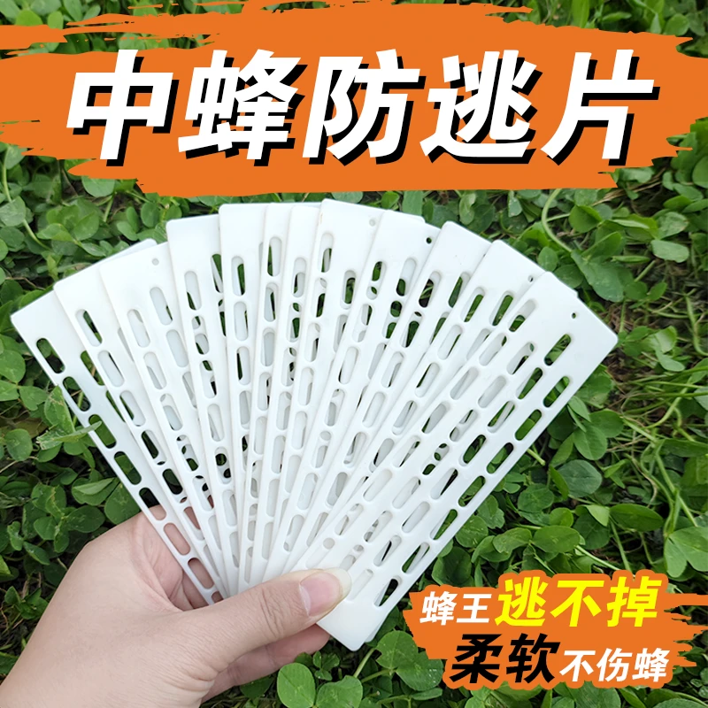 蜂王防跑片隔王片塑料信息中蜂防逃片巢门蜜蜂隔王片养蜂工具