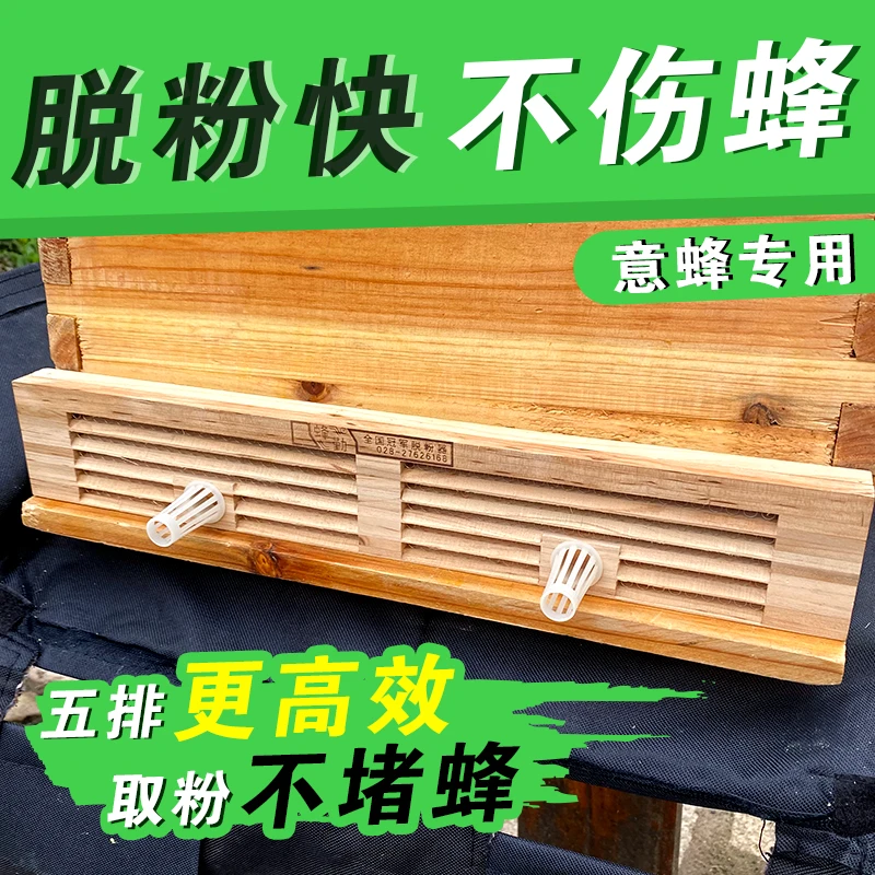 意蜂花粉脱粉器脱花粉 木质钢丝五排有孔养蜂工具