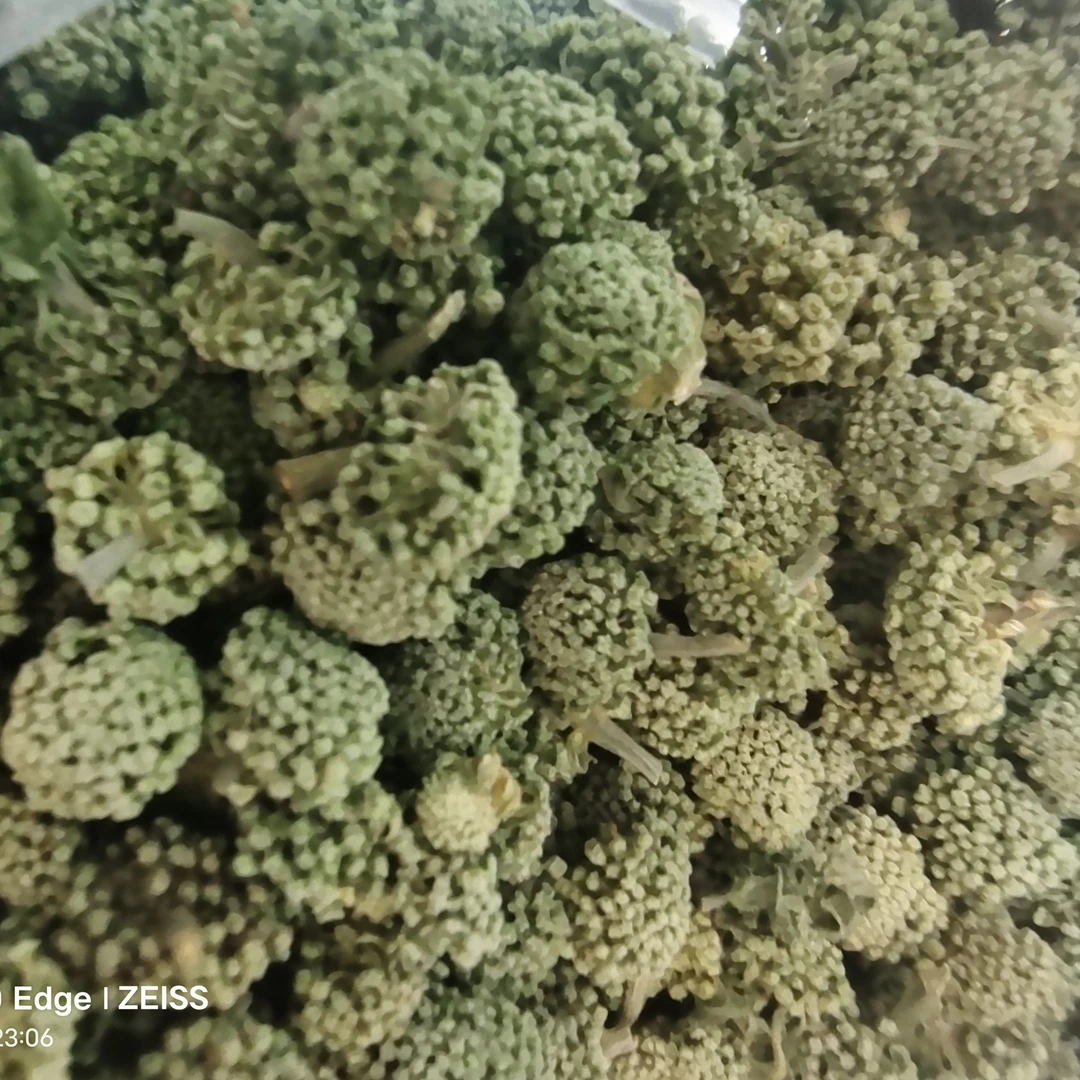 文山当年三七花（李支书专属）