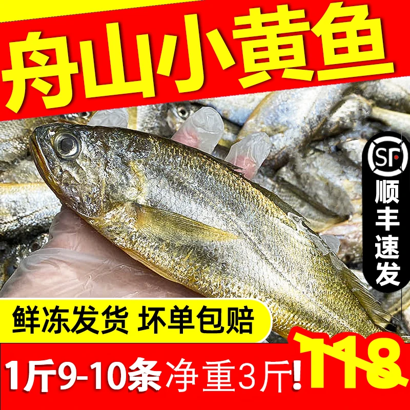 【9-10条/斤】浙江舟山东海野生小黄鱼 深海生鲜 新鲜海捕鲜嫩美味