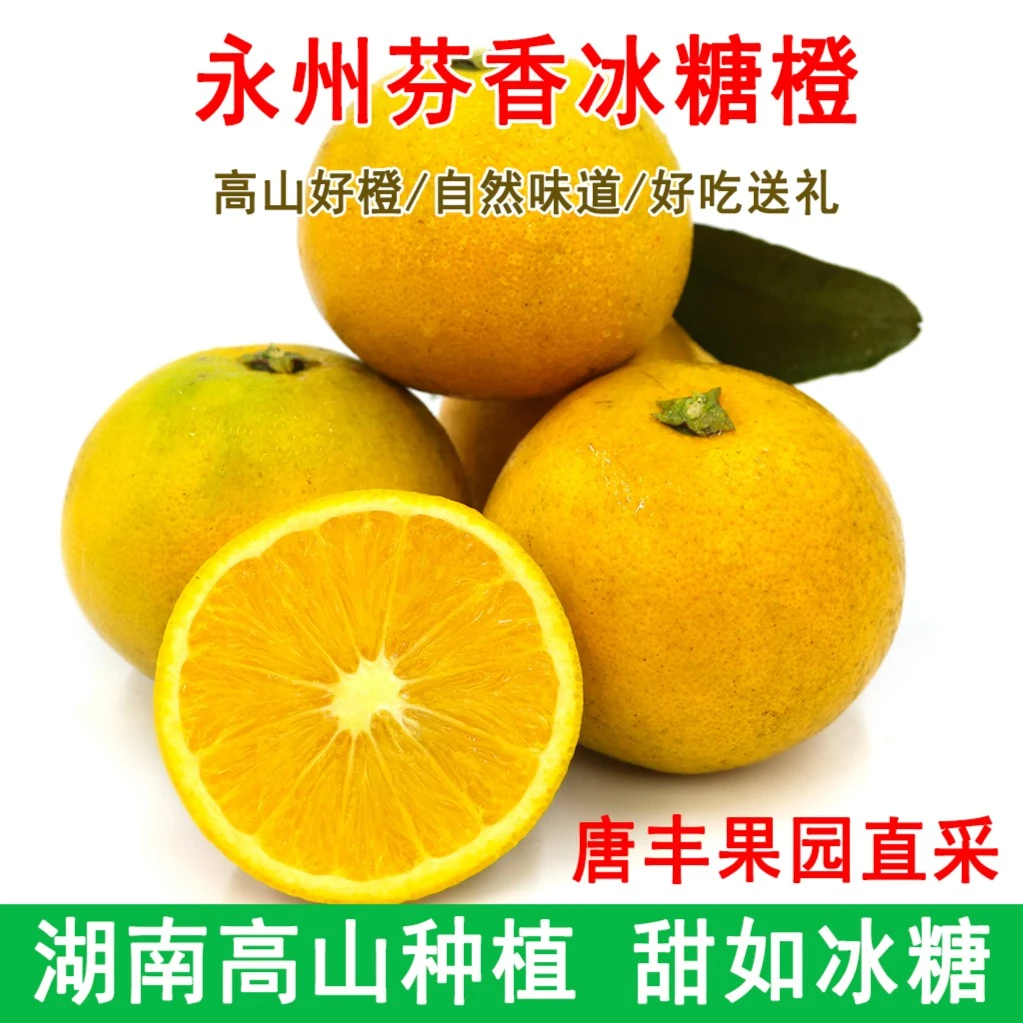 永州芬香糖橙5斤包邮 高山新鲜水果纯甜好吃冰糖橙自产自销送礼