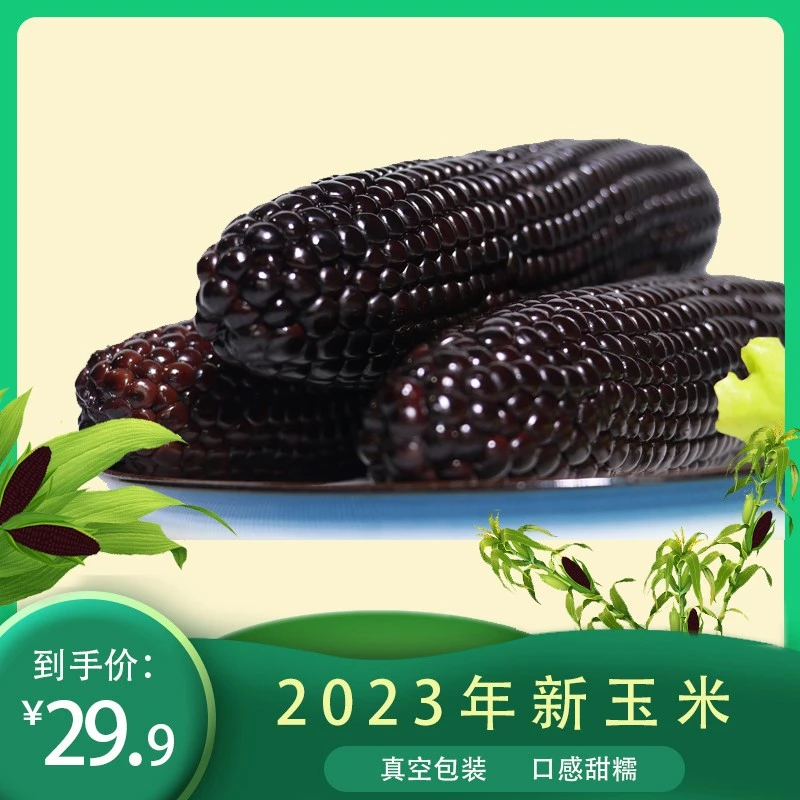 （卢小开优选）香甜黑糯玉米10支大棒绿袋装颗粒饱满