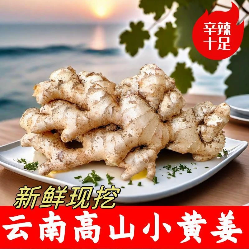 【新人直降】云南姜精选老姜正宗小黄姜产地直发自家种植高山生态