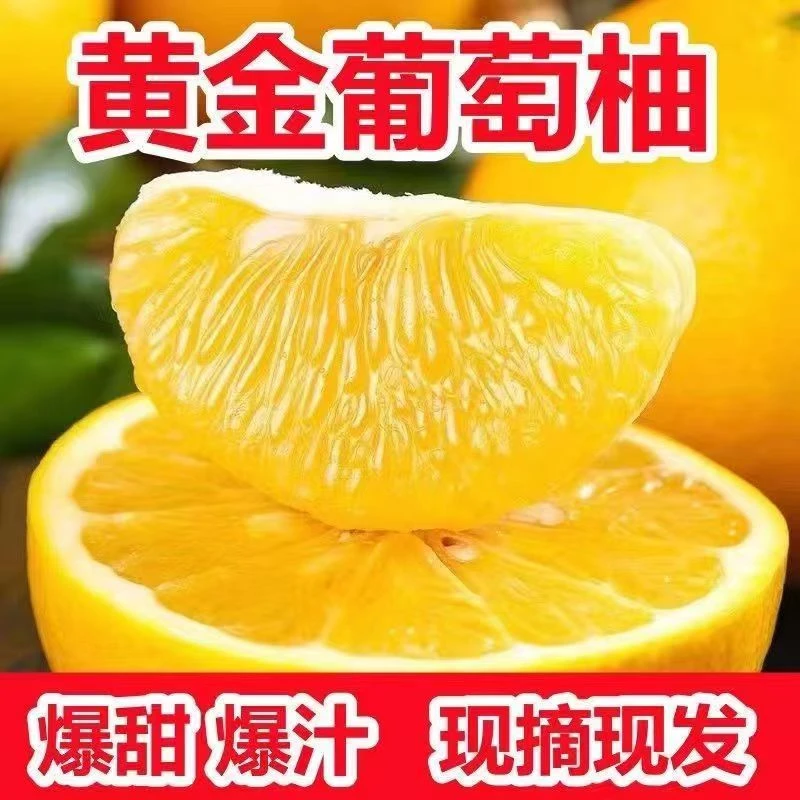 黄金葡萄柚新鲜水果福建平和柚子水果台湾品种西柚应季饱满香甜