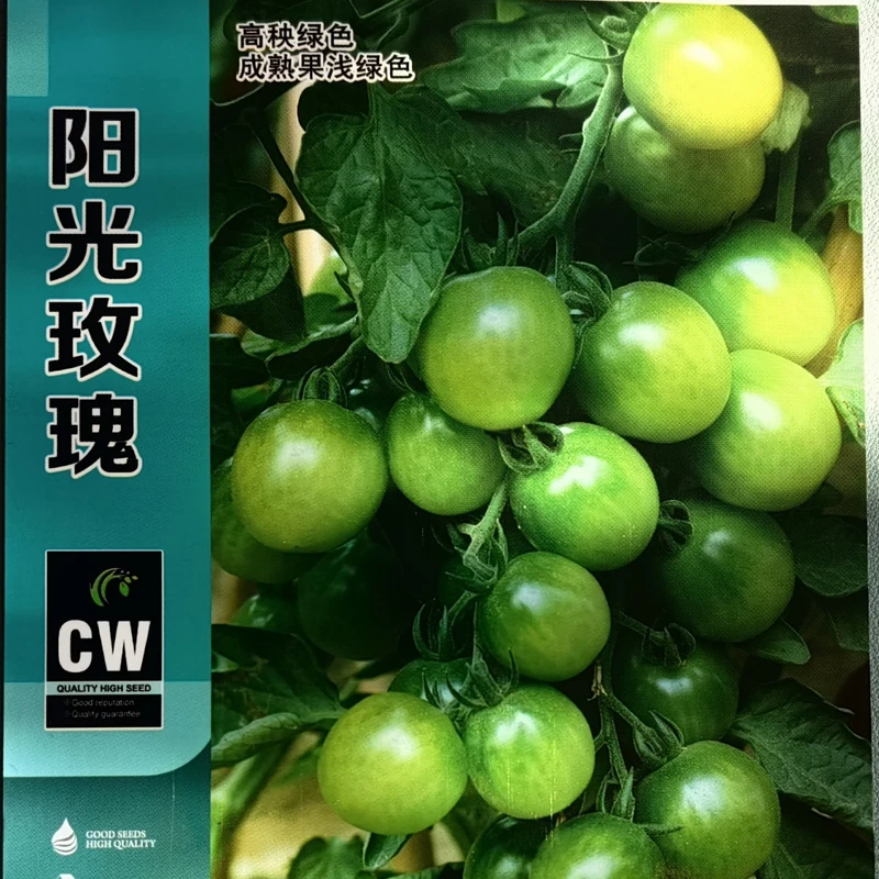 阳光玫瑰小番茄种子樱桃番茄种子甜香浓郁口感佳高秧型绿色小番茄