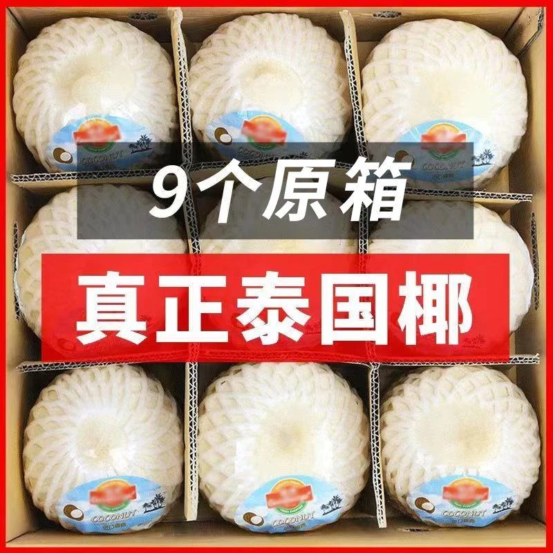 泰国椰青9粒大果整箱进口香水新鲜椰子批发孕妇当季水果批发