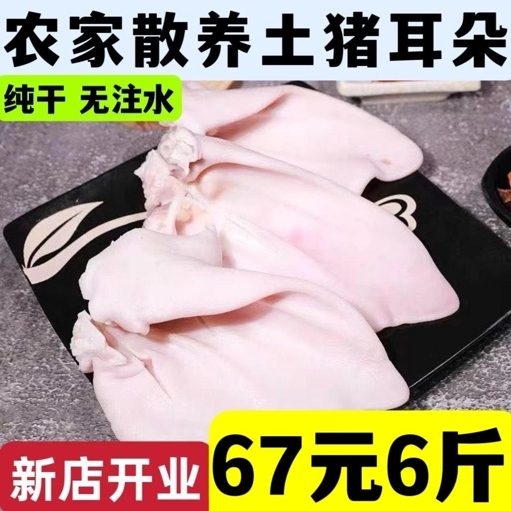 新鲜农家土猪耳朵商用耳片现杀猪耳片散养冷冻批发耳尖卤菜生猪