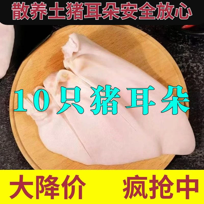 新鲜猪耳朵猪耳尖农家猪耳朵生鲜冷冻整只猪大耳朵商用批发一整箱