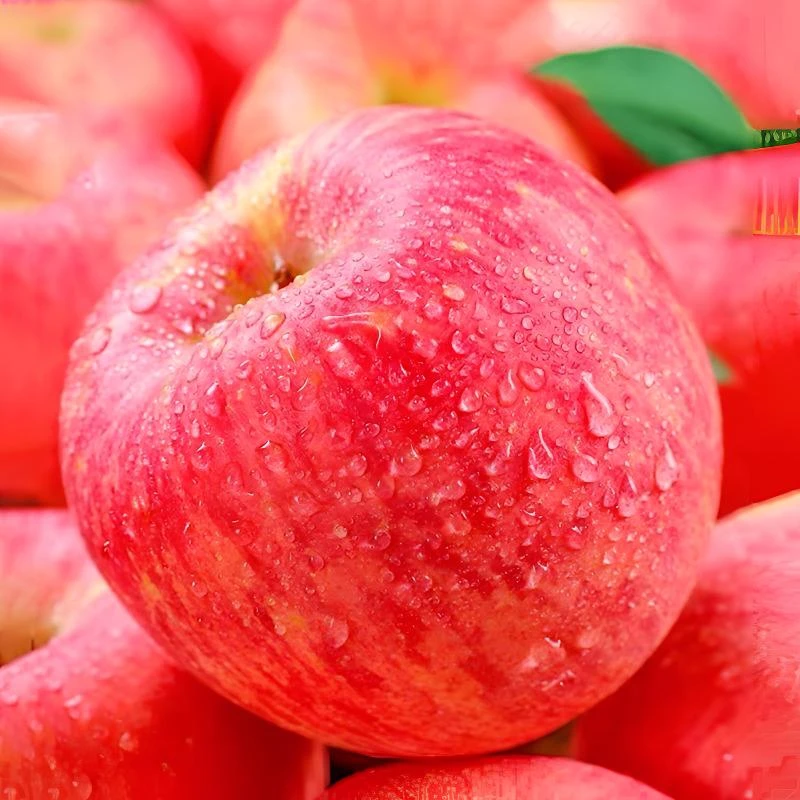 JINGNINGAPPLE/静宁苹果甘肃静宁红富士精品酸甜多汁口齿留香