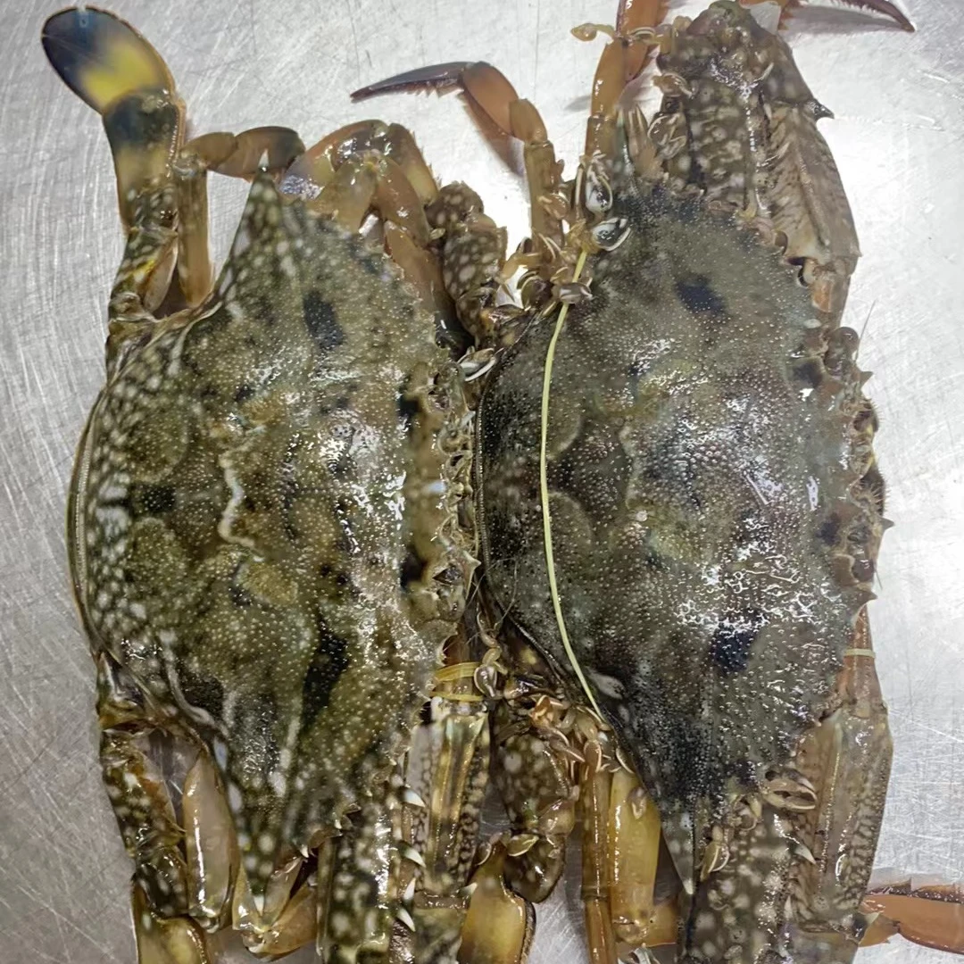 【保鲜不保活】福州冰鲜兰母蟹2斤6-10只（单只2-4两）【福建省内拍】