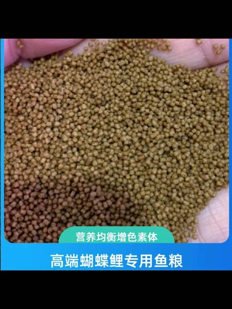 蝴蝶鲤专用鱼饲料高蛋白增白增艳上浮式观赏鱼鱼食小颗粒锦鲤鱼粮