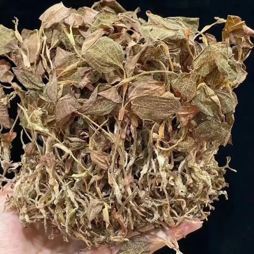 林下金线莲100克