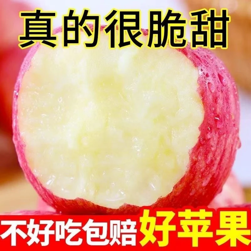 【顺丰送货上门】冰糖心红富士甜苹果脆苹果丑萍果4.5/9斤新鲜水果