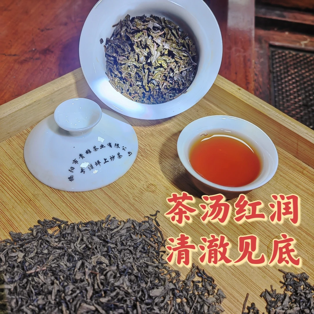 蕴肚2023雪片茶芯 坪上炒茶高山茶叶茶味茶水红色暖胃品质