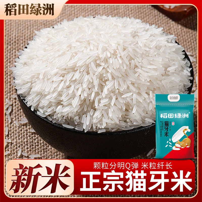猫牙米50斤/20斤/10斤5斤新米晚稻香米营养米煲仔米新鲜