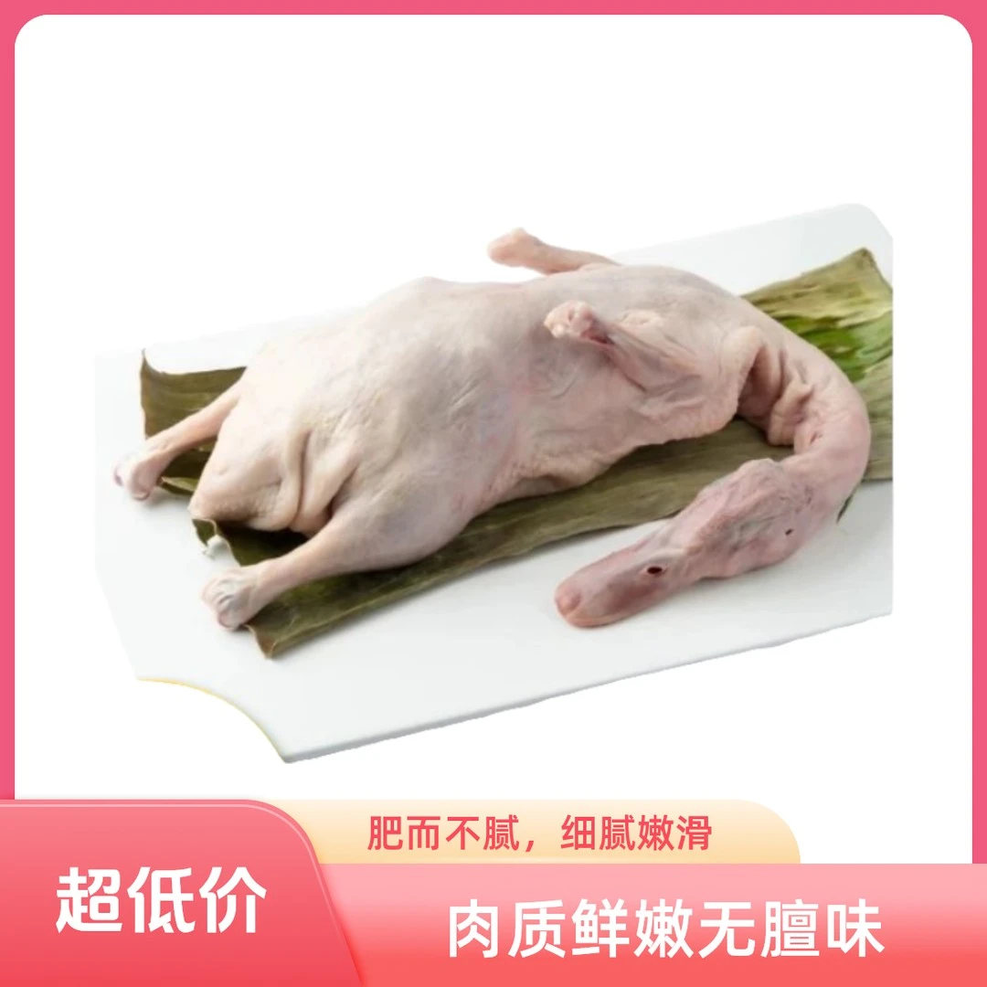 麻鸭土鸭1只净重约2斤正宗放养保鲜鲜嫩散养老水鸭新鲜鸭半年老鸭